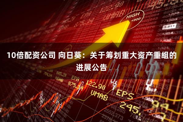10倍配资公司 向日葵：关于筹划重大资产重组的进展公告